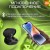 Наушники беспроводные Redmi Essential Buds Black