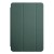 Чехол-книжка Smart Case для iPad PRO 11" (2020) (без логотипа) зеленый